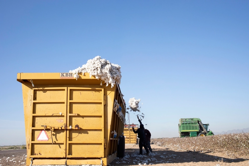 A view of a cotton farm property in Goodyear AZ