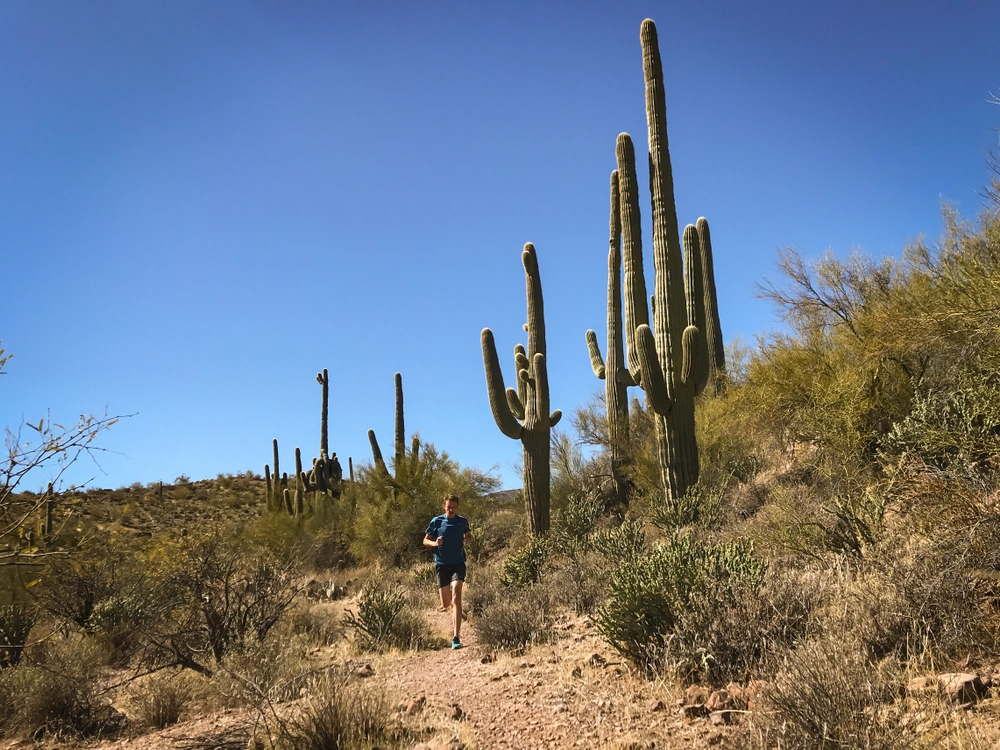 A view of a outdoor activity in Goodyear AZ