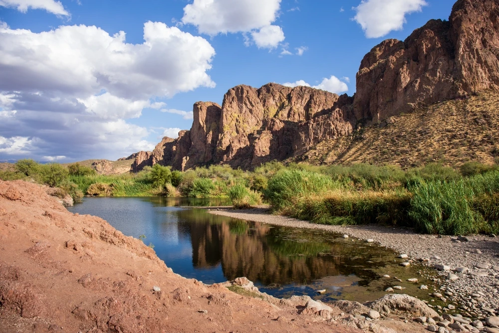 A view of a desert oasis in Rio Verde Arizona